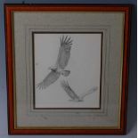 Attributed to John Cyril Harrison (1895-1985), study of two Martial Eagles (Polemaetus bellicosus)
