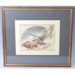 P. Snow, British 20th century, a set of six hand coloured engravings, each depicting a falcon,