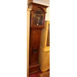 A stained hardwood long case clock case only, height 215cm