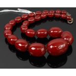 A beaded and graduated cherry amber necklace, 50g, gross length 43cm, the largest bead w.