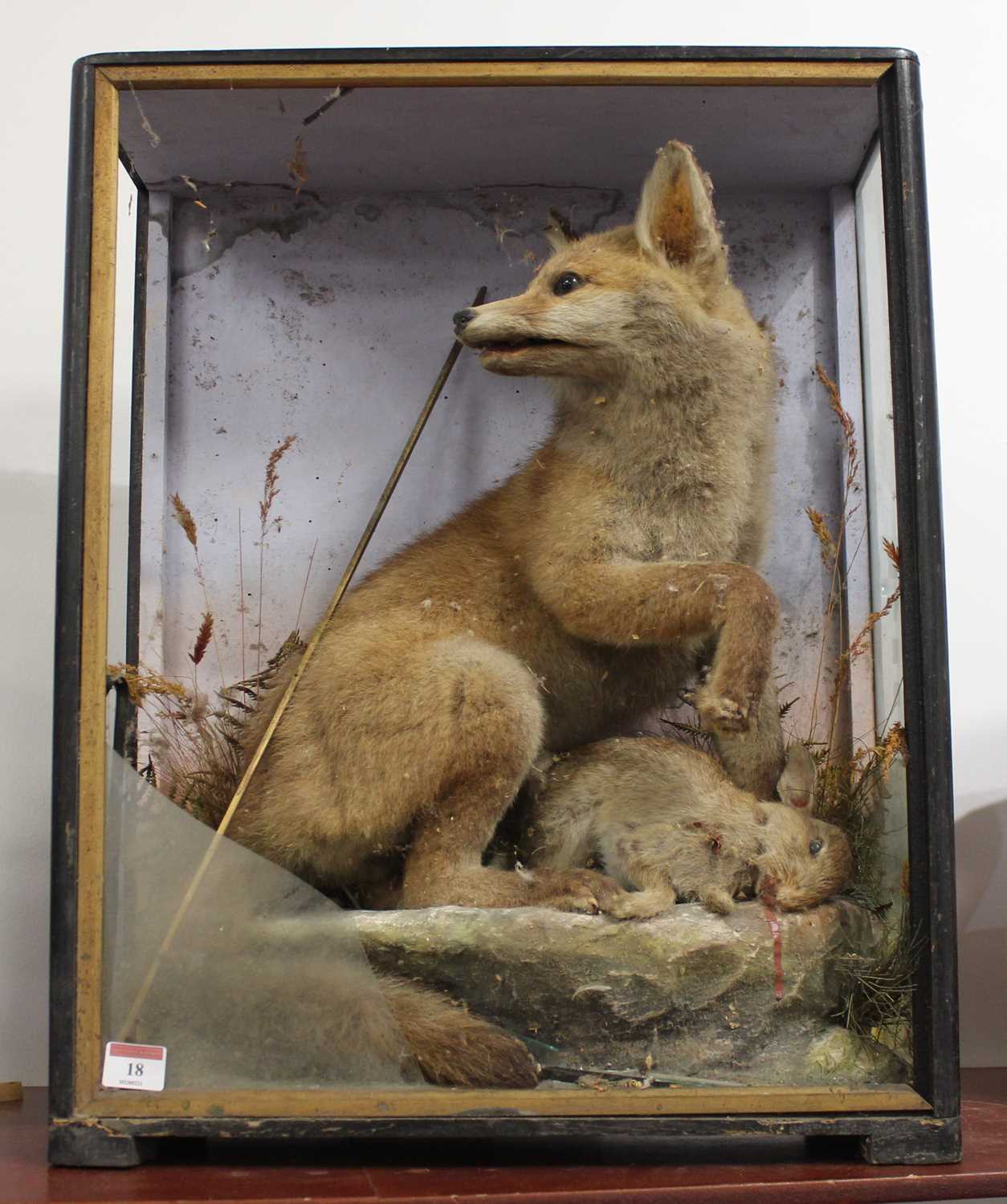 A Victorian taxidermy model of a fox with prey, in a naturalistic setting against a painted