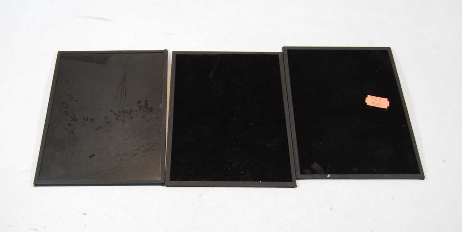 Three modern glass photographic plates, being garden scenes, each 17 x 12cm