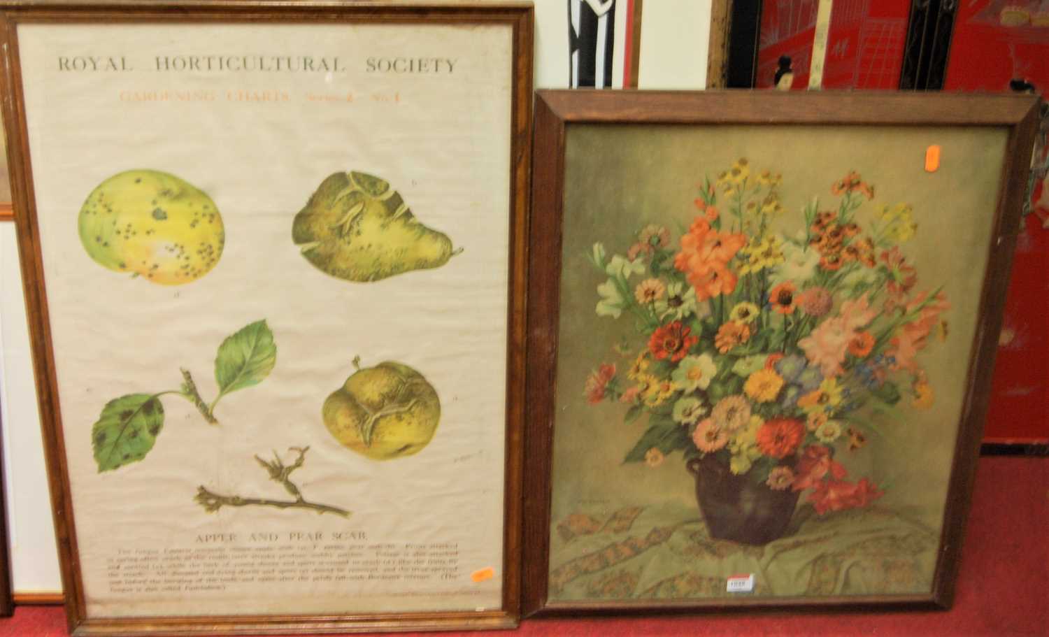 Royal Horticultural Society gardening charts, pair of poster prints printed by Johnson Riddell &