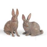 Franz Bergman (1861-1936) - a cold painted bronze figure of a crouching rabbit and one other in