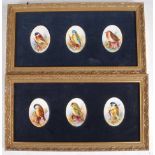 T.G. Abbots - a triptych set of six bird studies, polychrome enamel on porcelain, each signed,