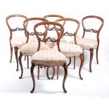 A set of six Victorian rosewood balloon back salon chairs, each with scroll carved centre rail,