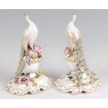 A pair of Royal Crown Derby porcelain groups by B. Barker, each modelled as a peacock upon a