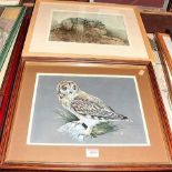 Kenneth Smith - Owl study, gouache, signed and dated '85 lower right, 23 x 30cm; Anna