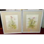 Cynthia M Owen - Wild Flowers, pair watercolours, each signed and dated 1985, 35x25cm