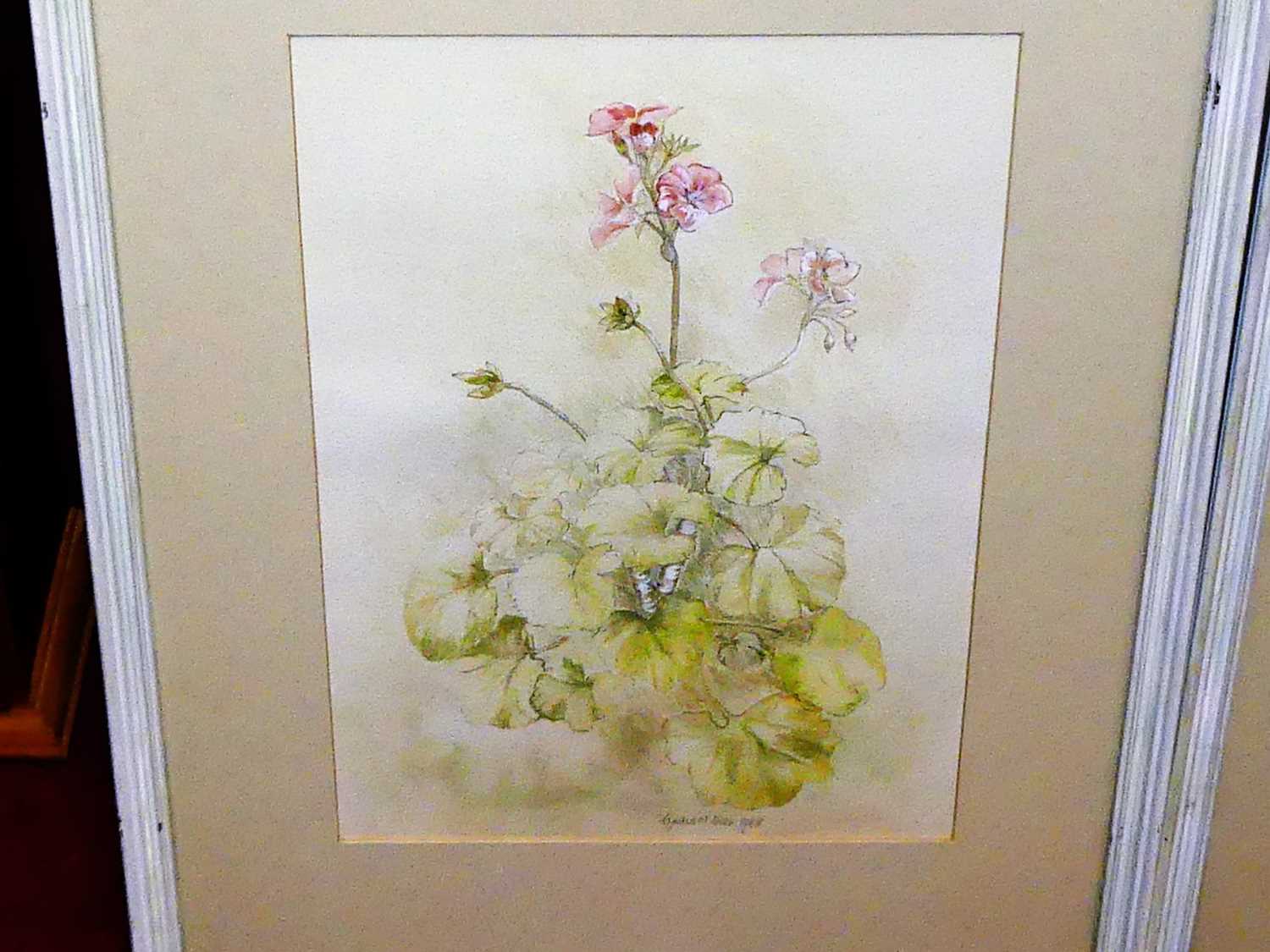 Cynthia M Owen - Wild Flowers, pair watercolours, each signed and dated 1985, 35x25cm - Image 2 of 4