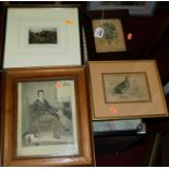 Assorted pictures and prints to include sporting engravings, botanical engraving, etc