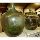 Two large tinted glass carboys of good size, the largest height 62cm