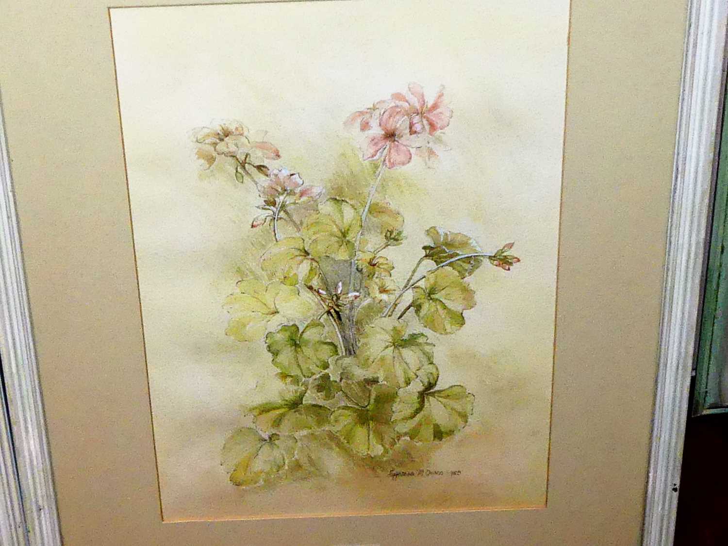 Cynthia M Owen - Wild Flowers, pair watercolours, each signed and dated 1985, 35x25cm - Image 3 of 4