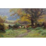 English school - Cattle grazing amidst the shadows, oil, indistinctly signed lower left 17x25cm,