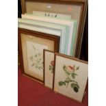 A collection of botanical prints to include Redoute, all framed (9)