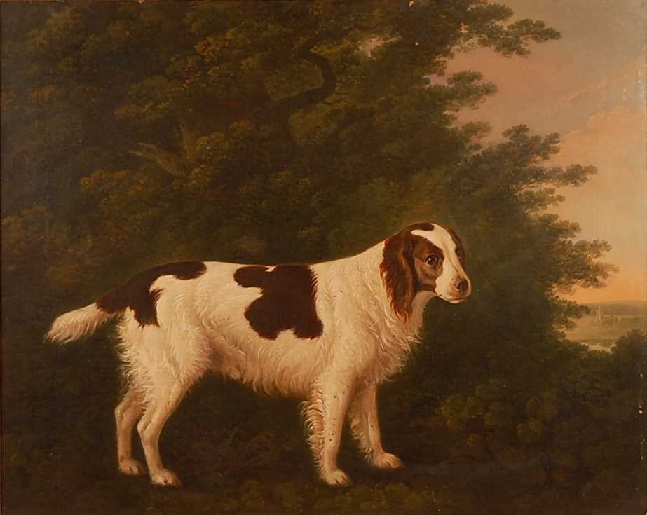 John Boultbee (1753-1812) - Portrait of a water-spaniel within a landscape, oil on canvas, signed