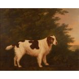 John Boultbee (1753-1812) - Portrait of a water-spaniel within a landscape, oil on canvas, signed
