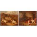 George Armfield (1808-1893) - Pair; Terriers at a fox-hole, and Spaniels in an interior, oil on