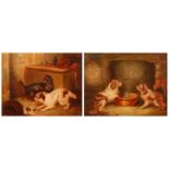 Attributed to George Armfield (1808-1893) - Terriers in an interior, oil on panel, signed lower