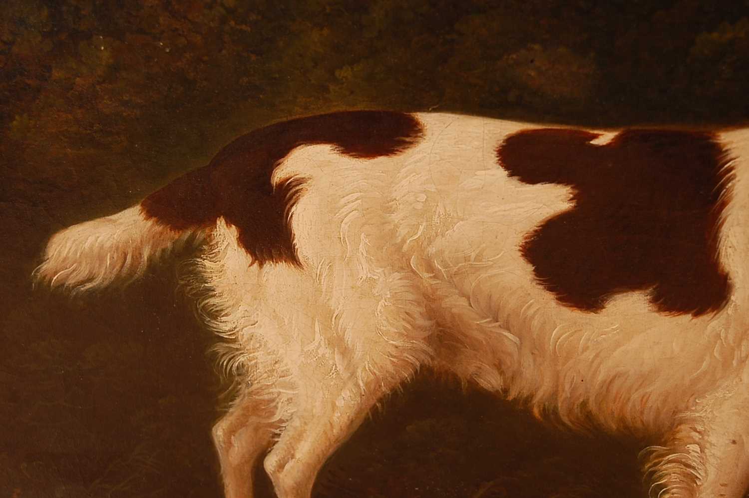 John Boultbee (1753-1812) - Portrait of a water-spaniel within a landscape, oil on canvas, signed - Image 4 of 8