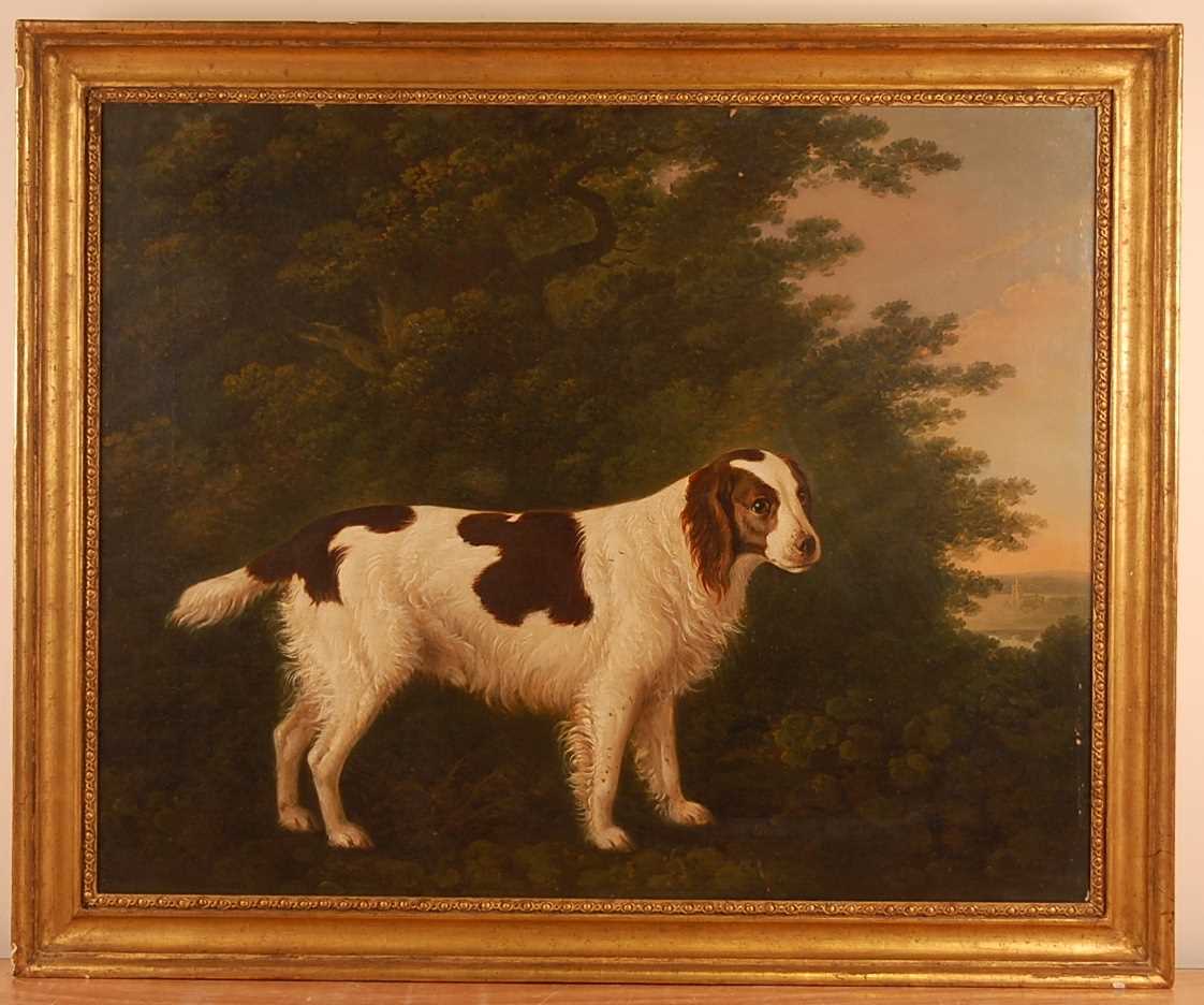 John Boultbee (1753-1812) - Portrait of a water-spaniel within a landscape, oil on canvas, signed - Image 2 of 8