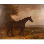 Attributed to Claude Lorraine Ferneley (1822-1891) - Study of a bay thoroughbred in a landscape, oil