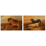 J.T.(?) Morris - Pair; Terriers ratting, oil on canvas, each signed and one dated '67, 24 x 34.5cm