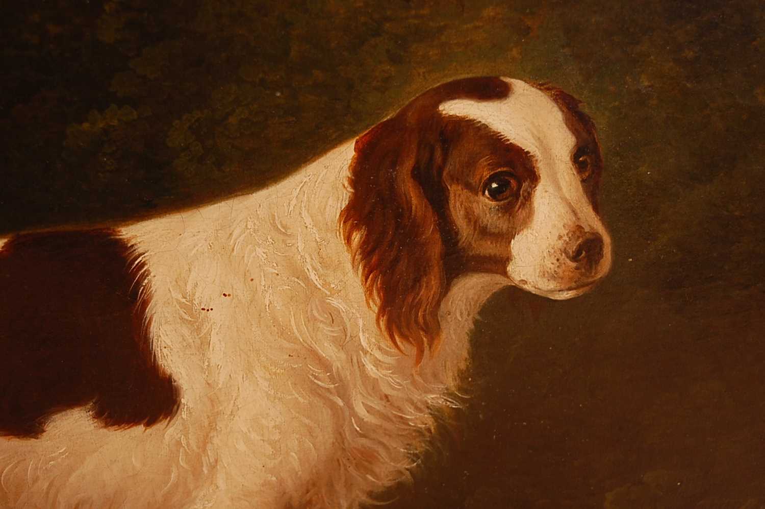 John Boultbee (1753-1812) - Portrait of a water-spaniel within a landscape, oil on canvas, signed - Image 3 of 8