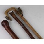 A mid-20th century walking staff, the tip carved as a fox head, the white metal collar engraved