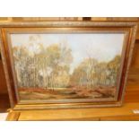 Betty Finnimore - Sunlight in Warren Wood, oil on millboard, signed lower left, 35x52cm