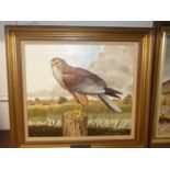 Patrick A Oxenham - The Marsh Harrier, oil on canvas, signed lower right, 35x40cm