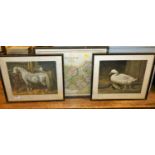 After J F Herring Snr - Cart, mare and foal, colour engraving; three others from Fores's Series of