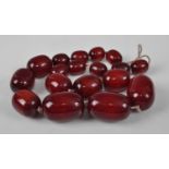 A single row of eighteen large graduated oval cherry amber beads strung knotted, bead dimensions