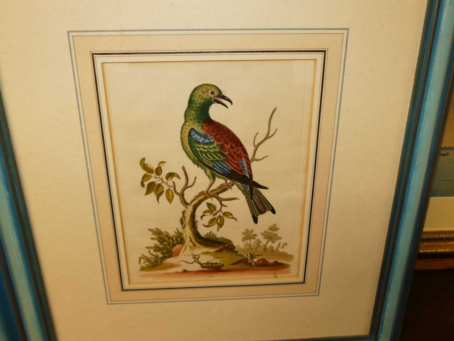 After George Edwards - The Blue Gros-Beak, lithograph, 24 x 19cm; and one other (2) - Image 3 of 3