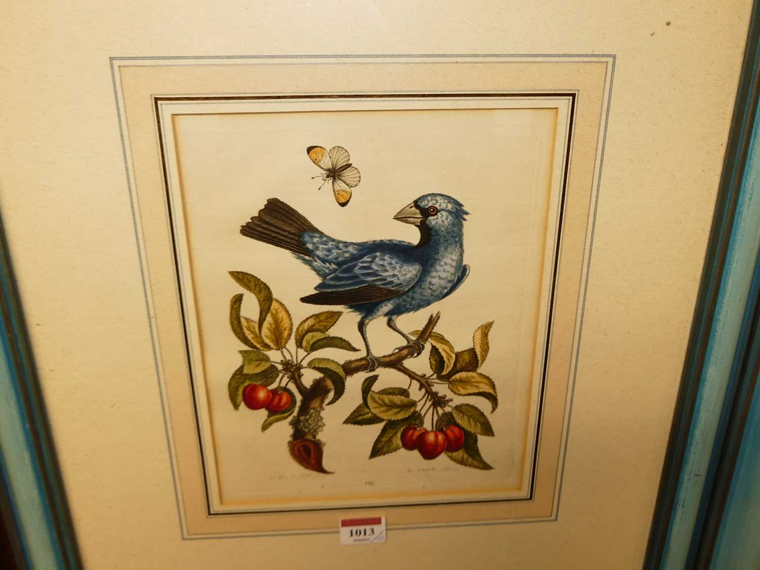 After George Edwards - The Blue Gros-Beak, lithograph, 24 x 19cm; and one other (2) - Image 2 of 3