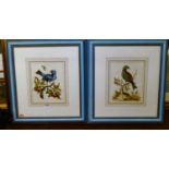 After George Edwards - The Blue Gros-Beak, lithograph, 24 x 19cm; and one other (2)