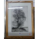 Alfred Blundell - The Black Poplar, etching, signed and titled in pencil to the margin, 48x31cm