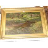 Firth - A woodland river, oil on canvas, signed and indistinctly dated lower right, 50 x 75cm