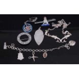 Assorted silver and enamelled pendants, brooches, charm bracelet etc, gross weight 53g