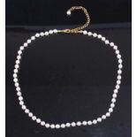 A cultured and knotted pearl single string necklace, with gilt metal clasp, 48cm