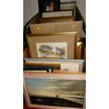 Two boxes of assorted pictures and prints, to include humorous examples, bird studies etc