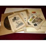 A folio of unframed prints and engravings, to include Mabel Lucy Atwell, equine interest, sundry