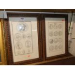 A pair of Italian monochrome engravings depicting medallions and Leda & The Swan, each full sheet