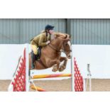 Topthorn Arena: Whole day venue hire of a popular equestrian venue in Suffolk Located near Stonham
