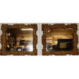 A pair of early 20th century floral gilt framed small rectangular wall mirrors, each 34 x 40cm