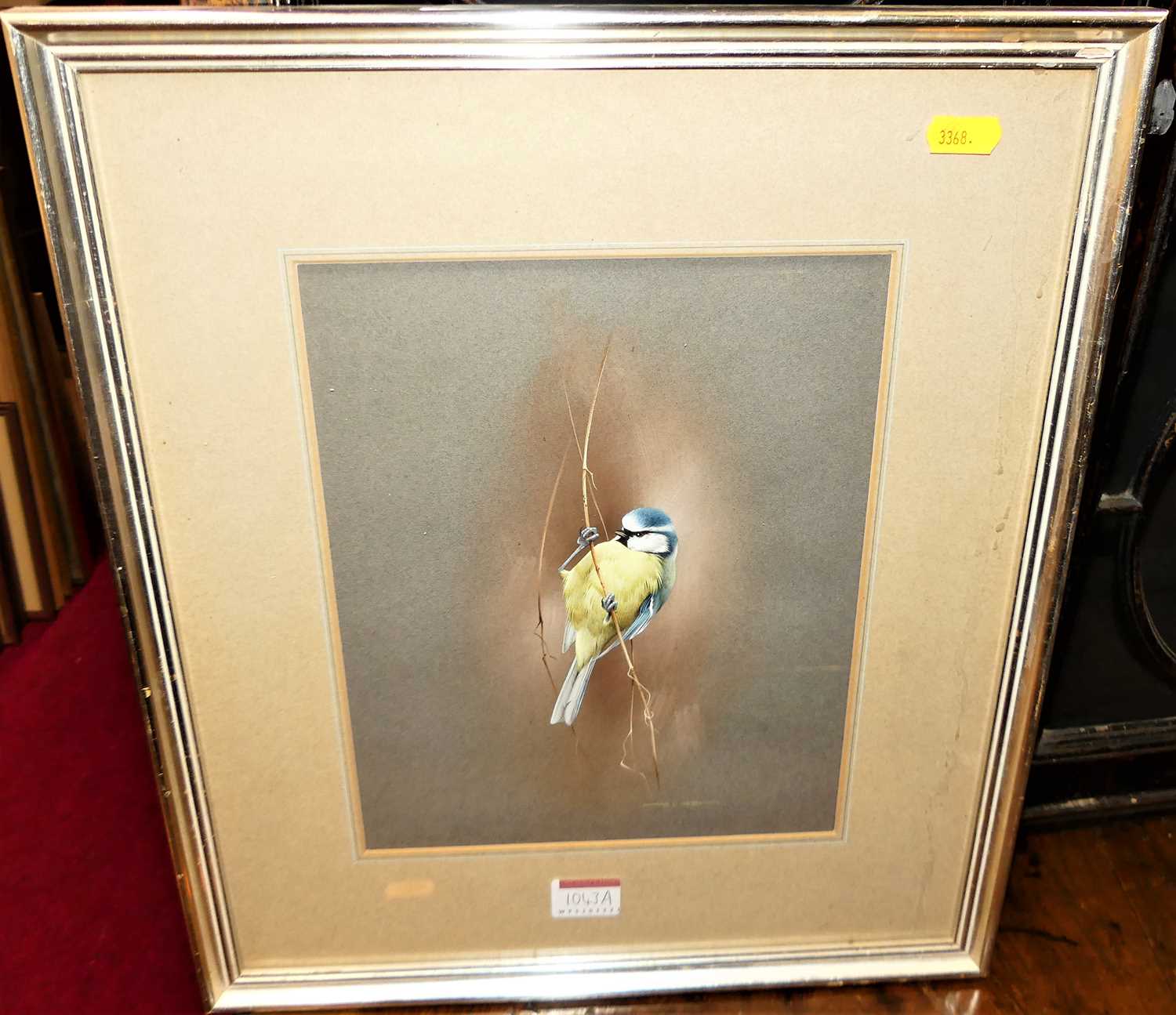 Raymond C Watson - Bluetit, gouache, signed lower right, 26x21cm