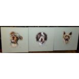 Ryan - dog studies, set of three, acrylic on canvas, each signed, 38x37cm, unframed