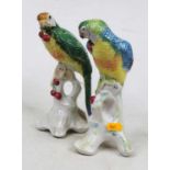 A pair of modern Italian porcelain figures of parrots, each modelled perched on a leafy stump with