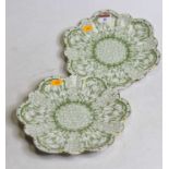 A pair of late Victorian Foley China plates, each of scalloped shape, on a green ground with