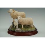 Border Fine Arts limited edition Welsh lamb together with a ewe and lamb, with box